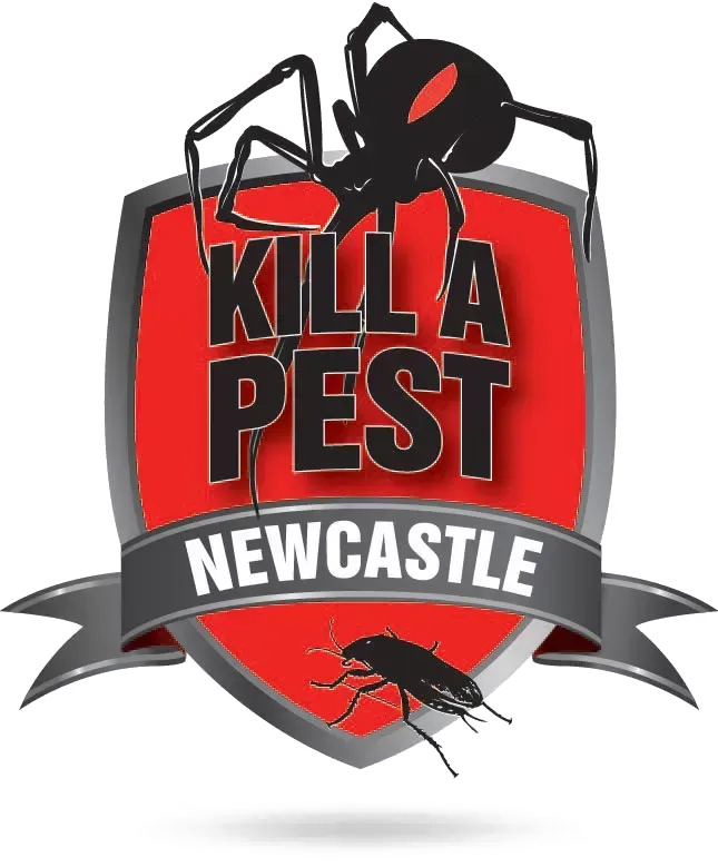 The Newcastle Kill A Pest logo: a red and silver shield reading KILL A PEST above a NEWCASTLE banner, with a redback spider over the top.